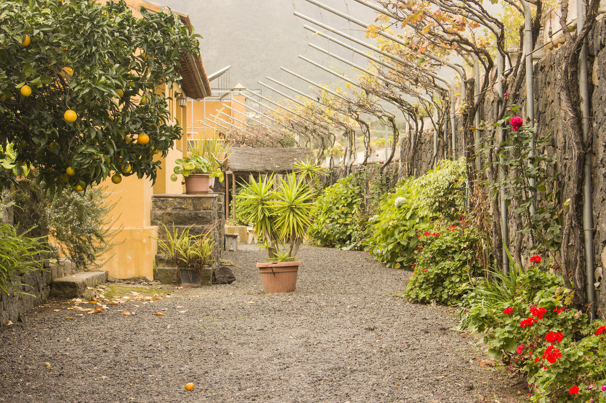 Casa Rural La Tanquera Los Realejos Exterior photo